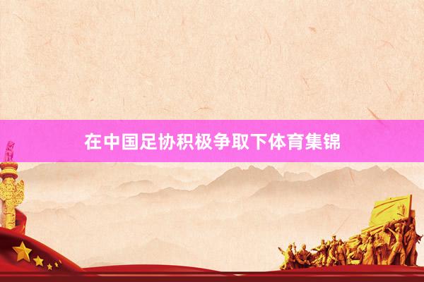 在中国足协积极争取下体育集锦