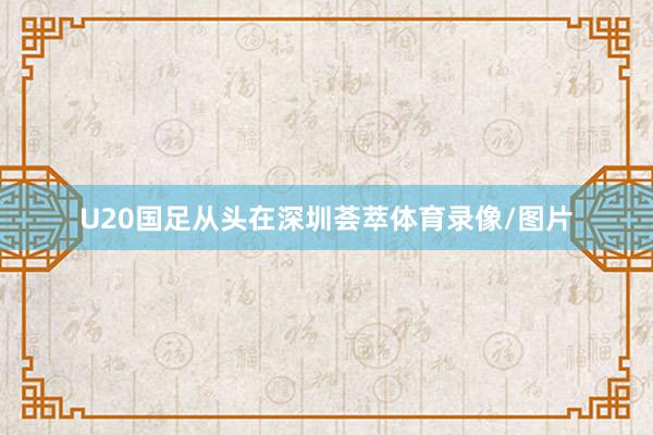 U20国足从头在深圳荟萃体育录像/图片