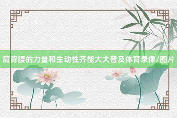 肩背腰的力量和生动性齐能大大普及体育录像/图片