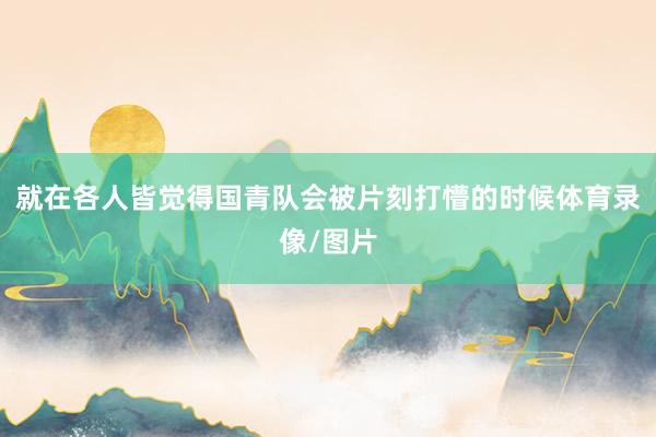 就在各人皆觉得国青队会被片刻打懵的时候体育录像/图片