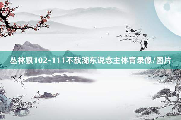 丛林狼102-111不敌湖东说念主体育录像/图片