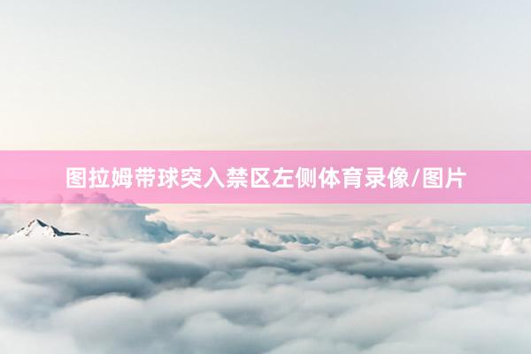图拉姆带球突入禁区左侧体育录像/图片