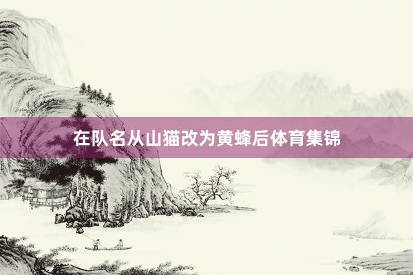 在队名从山猫改为黄蜂后体育集锦