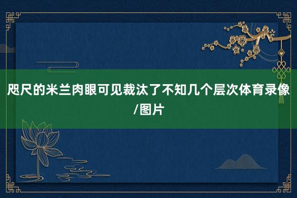 咫尺的米兰肉眼可见裁汰了不知几个层次体育录像/图片