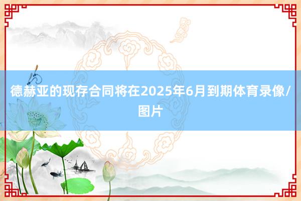 德赫亚的现存合同将在2025年6月到期体育录像/图片
