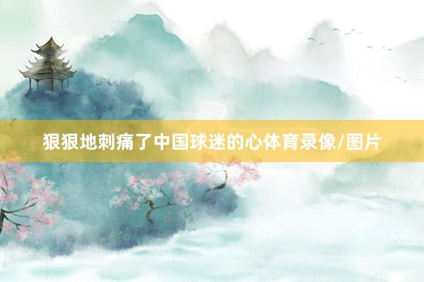 狠狠地刺痛了中国球迷的心体育录像/图片
