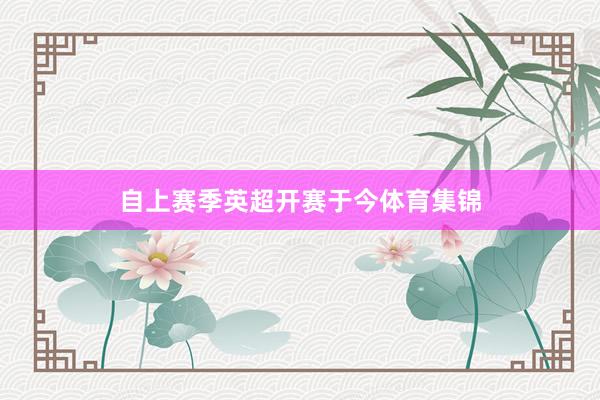 自上赛季英超开赛于今体育集锦