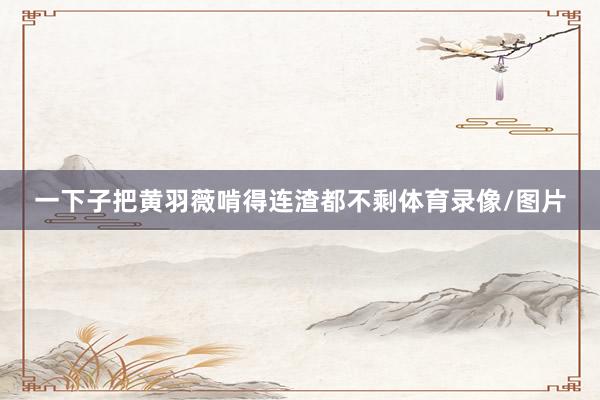 一下子把黄羽薇啃得连渣都不剩体育录像/图片