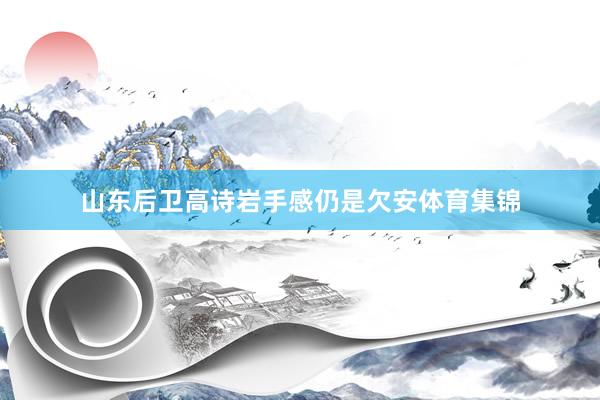 山东后卫高诗岩手感仍是欠安体育集锦