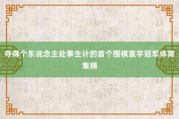 夺得个东说念主处事生计的首个围棋寰宇冠军体育集锦