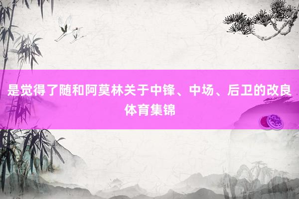 是觉得了随和阿莫林关于中锋、中场、后卫的改良体育集锦