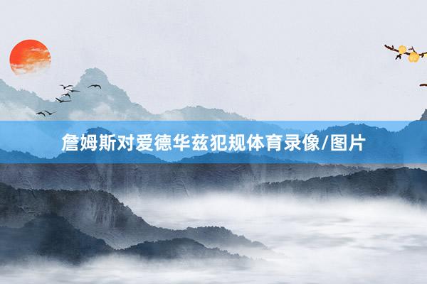 詹姆斯对爱德华兹犯规体育录像/图片
