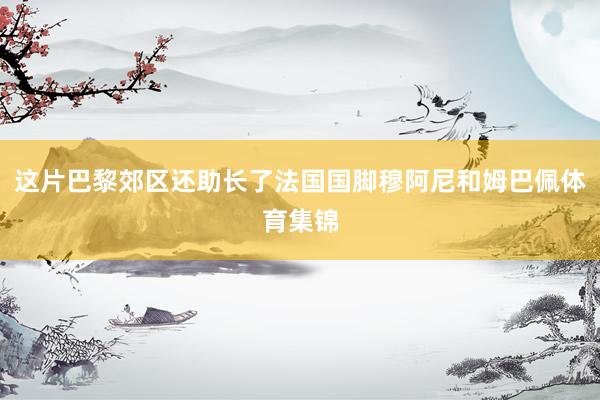 这片巴黎郊区还助长了法国国脚穆阿尼和姆巴佩体育集锦