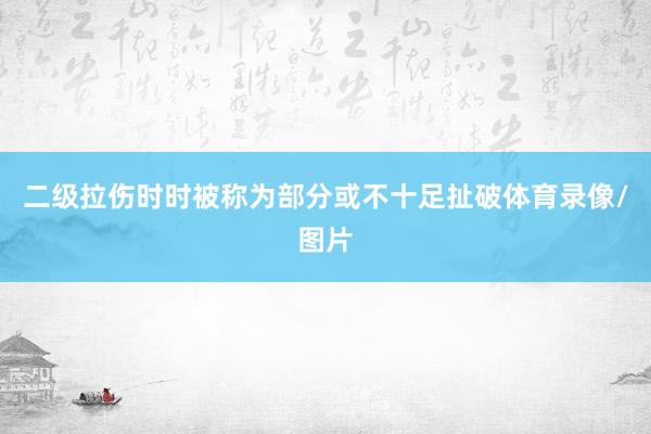 二级拉伤时时被称为部分或不十足扯破体育录像/图片