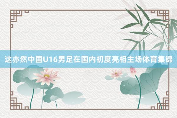 这亦然中国U16男足在国内初度亮相主场体育集锦