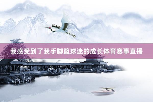 我感受到了我手脚篮球迷的成长体育赛事直播