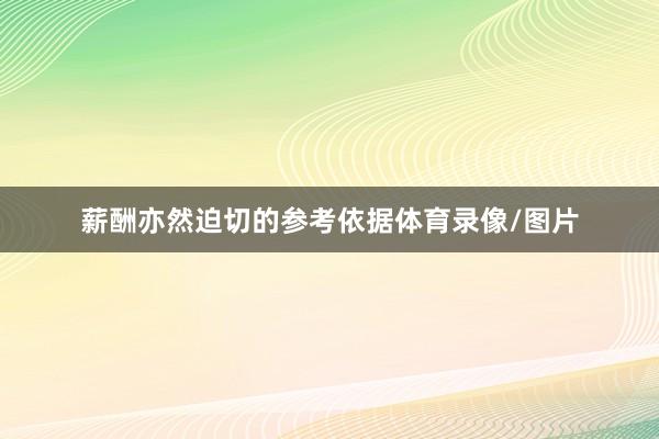 薪酬亦然迫切的参考依据体育录像/图片