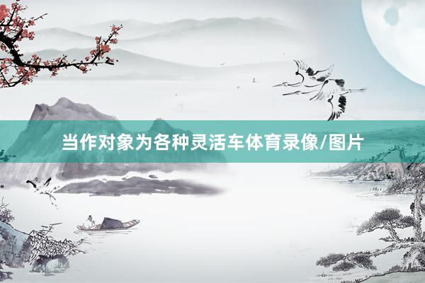 当作对象为各种灵活车体育录像/图片