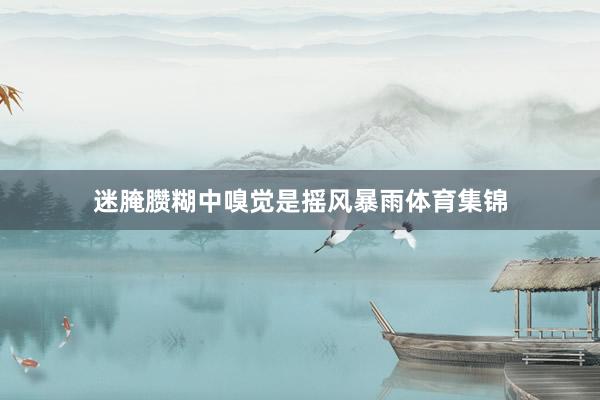 迷腌臜糊中嗅觉是摇风暴雨体育集锦