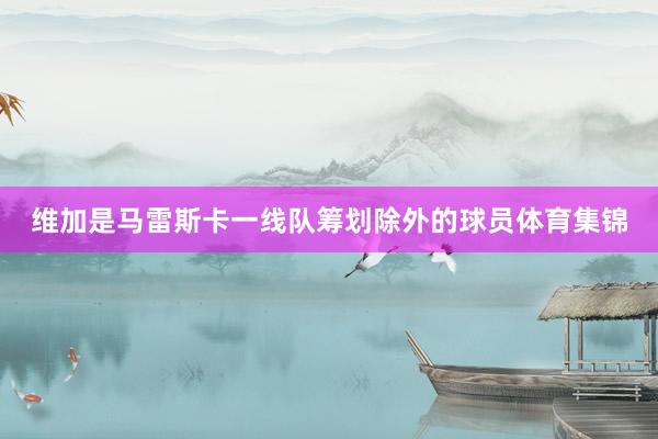 维加是马雷斯卡一线队筹划除外的球员体育集锦