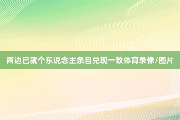 两边已就个东说念主条目兑现一致体育录像/图片