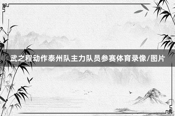 武之程动作泰州队主力队员参赛体育录像/图片