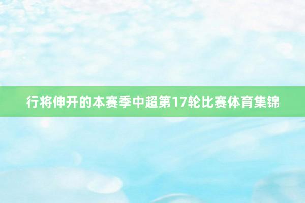 行将伸开的本赛季中超第17轮比赛体育集锦