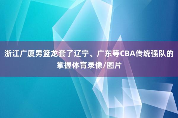 浙江广厦男篮龙套了辽宁、广东等CBA传统强队的掌握体育录像/图片