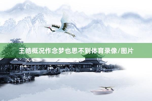王皓概况作念梦也思不到体育录像/图片