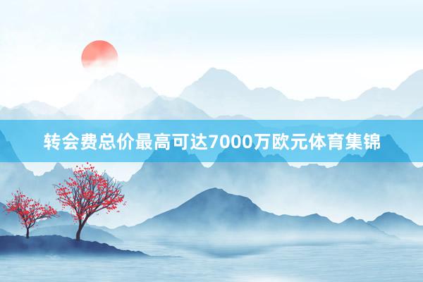 转会费总价最高可达7000万欧元体育集锦