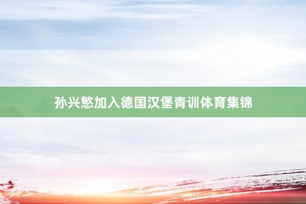 孙兴慜加入德国汉堡青训体育集锦