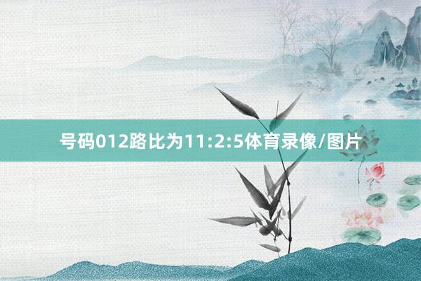号码012路比为11:2:5体育录像/图片