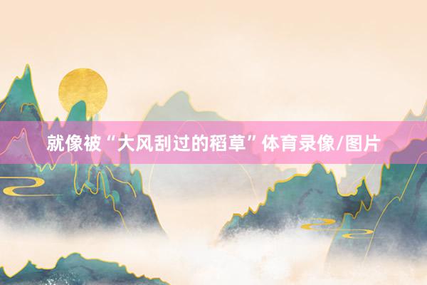 就像被“大风刮过的稻草”体育录像/图片