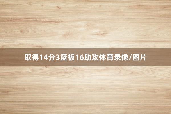 取得14分3篮板16助攻体育录像/图片