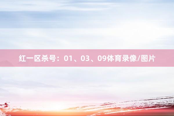 红一区杀号：01、03、09体育录像/图片