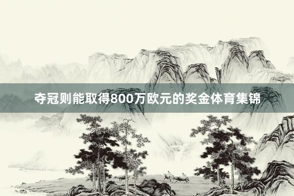 夺冠则能取得800万欧元的奖金体育集锦