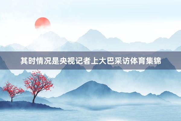 其时情况是央视记者上大巴采访体育集锦
