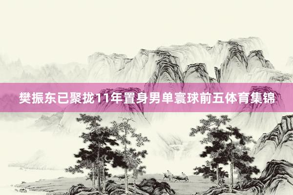 樊振东已聚拢11年置身男单寰球前五体育集锦