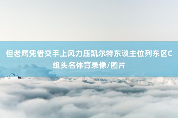 但老鹰凭借交手上风力压凯尔特东谈主位列东区C组头名体育录像/图片