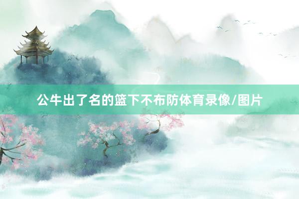 公牛出了名的篮下不布防体育录像/图片
