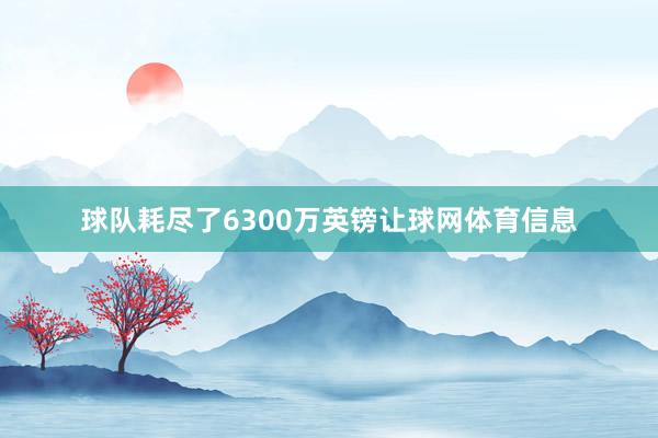 球队耗尽了6300万英镑让球网体育信息
