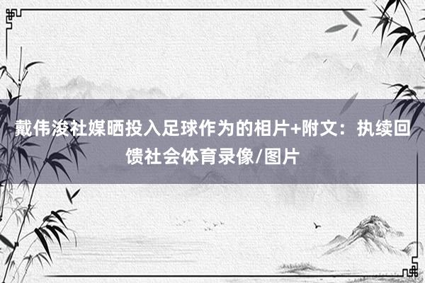 戴伟浚社媒晒投入足球作为的相片+附文：执续回馈社会体育录像/图片