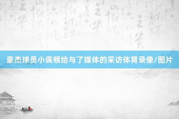 豪杰球员小佩顿给与了媒体的采访体育录像/图片