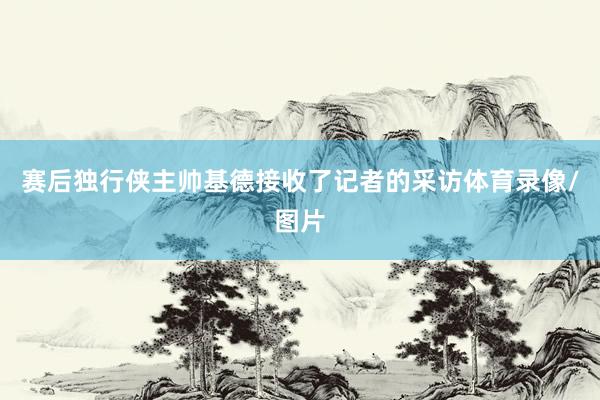赛后独行侠主帅基德接收了记者的采访体育录像/图片