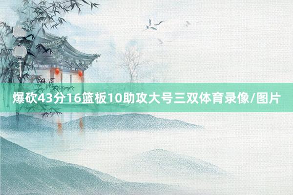 爆砍43分16篮板10助攻大号三双体育录像/图片