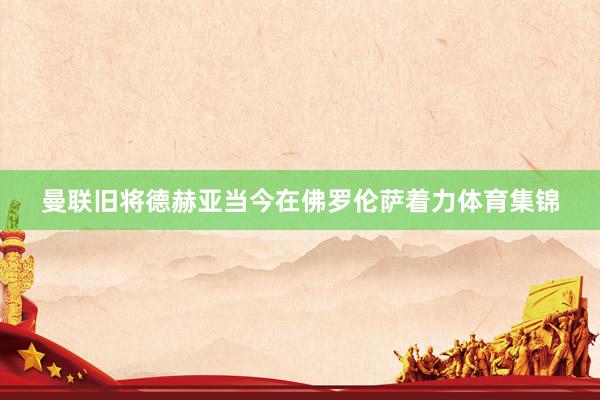 曼联旧将德赫亚当今在佛罗伦萨着力体育集锦
