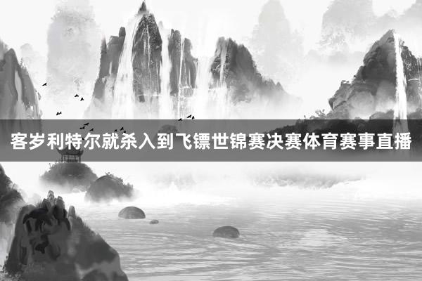 客岁利特尔就杀入到飞镖世锦赛决赛体育赛事直播