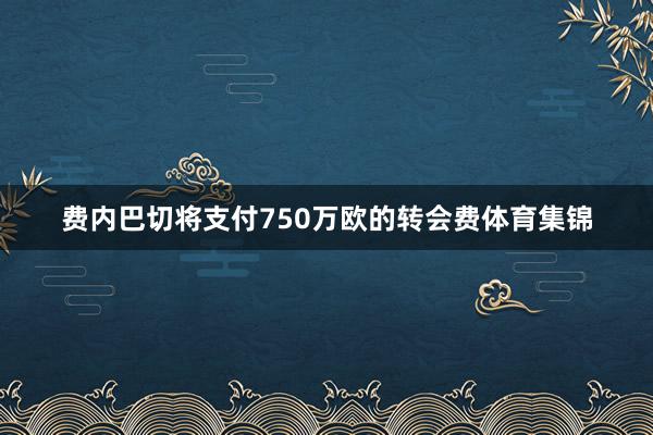 费内巴切将支付750万欧的转会费体育集锦