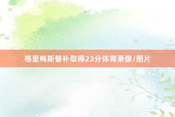 格里梅斯替补取得23分体育录像/图片