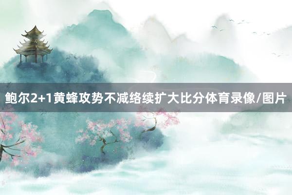 鲍尔2+1黄蜂攻势不减络续扩大比分体育录像/图片